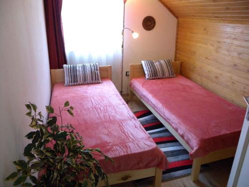 鲍洛通凯赖斯图尔Apartments in Balatonkeresztur 37924的配有植物的小房间,设有两张床