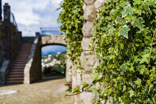 马萨鲁布朗斯Agriresort Villa Edera的常春藤覆盖的墙,有桥在后面