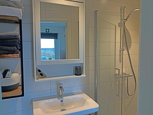 BoskoopChristinahoeve Hooiberg #6的一间带水槽和淋浴的浴室
