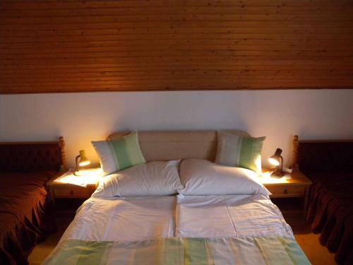 福纽德Apartment in Fonyod/Balaton 33083的一间卧室配有一张带两盏灯的床。