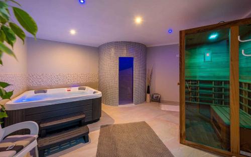 德伦杰Apartment Drenje 5的大型浴室设有浴缸和淋浴。