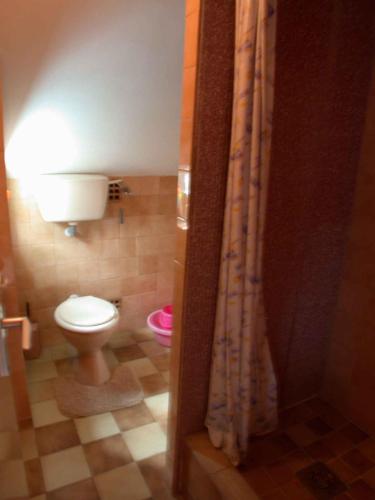 鲍洛通凯赖斯图尔Holiday home in Balatonmariafürdo 19576的一间带卫生间和淋浴帘的浴室