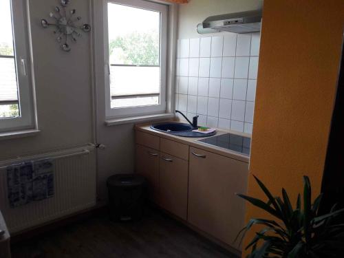 施特拉尔松德Apartment in Stralsund 2736的一个带水槽和窗户的小厨房