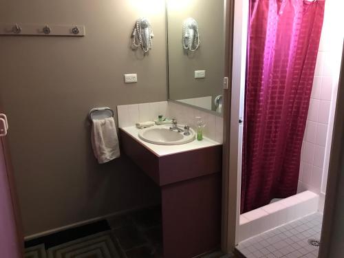贝瑞黛尔卡顿汽车旅馆的一间带水槽和淋浴的浴室
