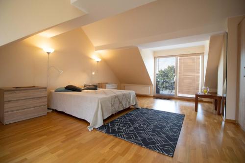 派尔努Õhtukese Apartment的一间卧室设有一张床和一个大窗户