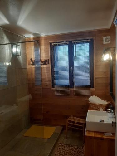 PouzacChambre Candésie的带淋浴和盥洗盆的浴室