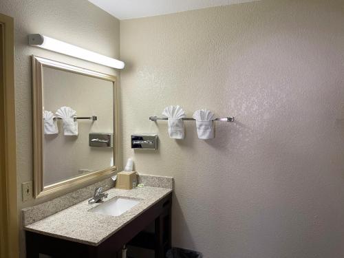 卡尔斯巴德西部大酒店及套房的一间带水槽和镜子的浴室