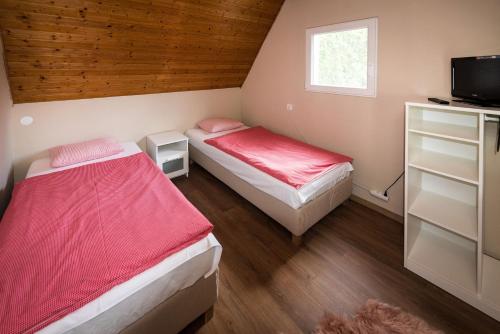 索尔沃什Ciprus Lak的带电视的小型客房中的两张床