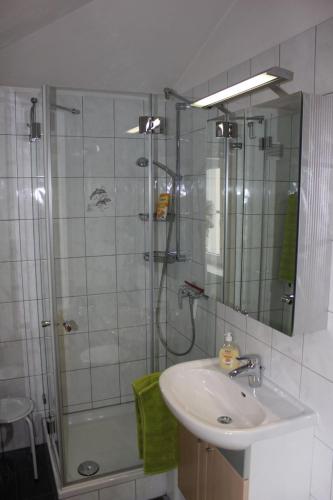 泰森多夫Ferienwohnung Krittian的带淋浴、盥洗盆和淋浴的浴室