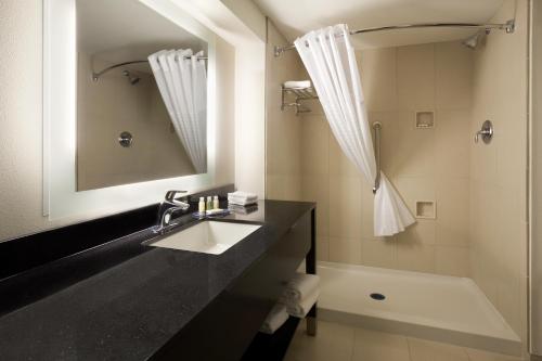 斯莱德尔温盖特斯莱德尔新奥尔良酒店的一间带水槽、浴缸和镜子的浴室