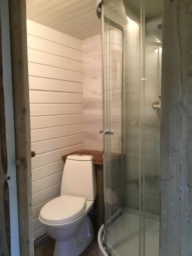 菲利普斯塔德Cozy Lodge and tiny lodge 5 pers.的一间带卫生间和玻璃淋浴间的浴室