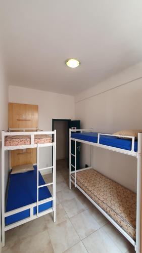 里约热内卢Sangha Urbana - hostel, yoga & meditação的一间客房内配有两张双层床的房间