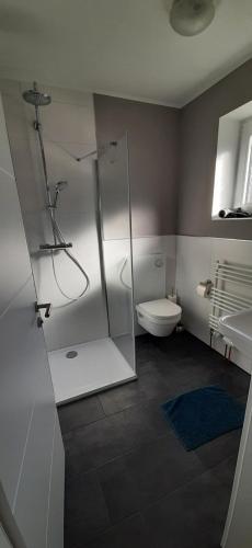 HambergenMotel Hamberger Krug的带淋浴、卫生间和盥洗盆的浴室