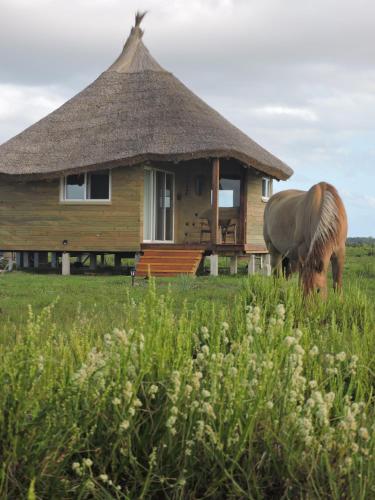 Los Chajá Ecolodge