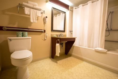 西雅茅斯The Tidewater Inn - Cape Cod的浴室配有卫生间、浴缸和水槽。