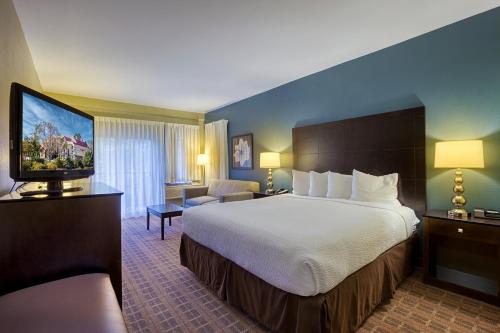 圣路易斯-奥比斯保拉库埃斯塔酒店的配有一张床和一台平面电视的酒店客房