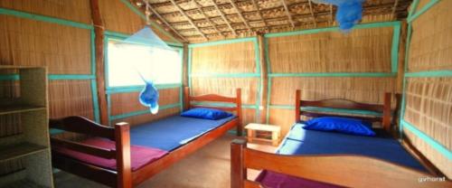 托弗海滩Pariango Beach Motel的带窗户的客房内的两张双层床