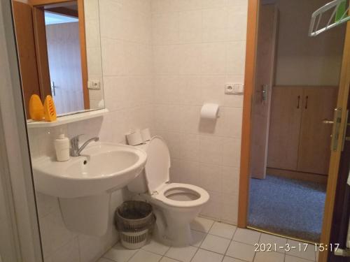 图尔诺夫克拉里塞克酒店的一间带卫生间和水槽的浴室