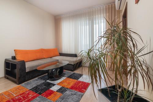 瓦尔纳BGApartments - Momina Salza的带沙发和2种植物的客厅