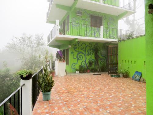 希利特拉Casa Verde Xilitla By Rotamundos的带阳台的绿色墙壁度假屋