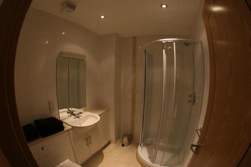 斯莱戈St Angela's Lakeside Aparthotel SALA的带淋浴和盥洗盆的浴室