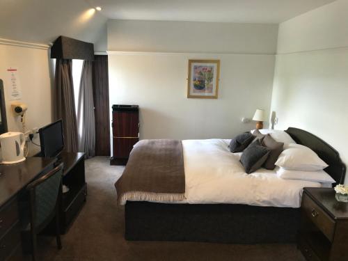 桑希尔狮子与独角兽酒店的酒店客房设有一张大床和一台电视。
