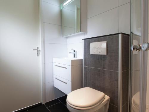 德布尔特Tidy chalet with dishwasher, surrounded by forest的浴室配有白色卫生间和盥洗盆。