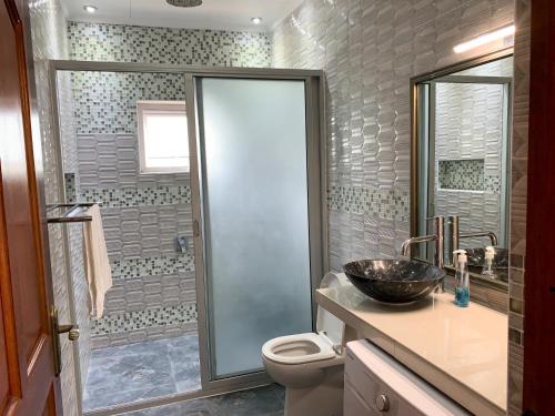 普拉兰CAM Getaway Villa的带淋浴、盥洗盆和卫生间的浴室