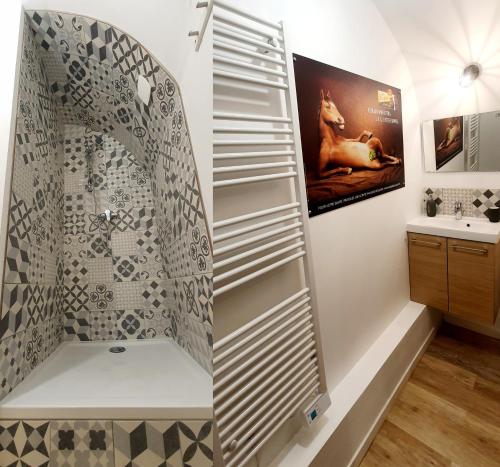 布鲁瓦Appartement "POULAIN" en Centre-ville linge inclus的带淋浴和盥洗盆的浴室