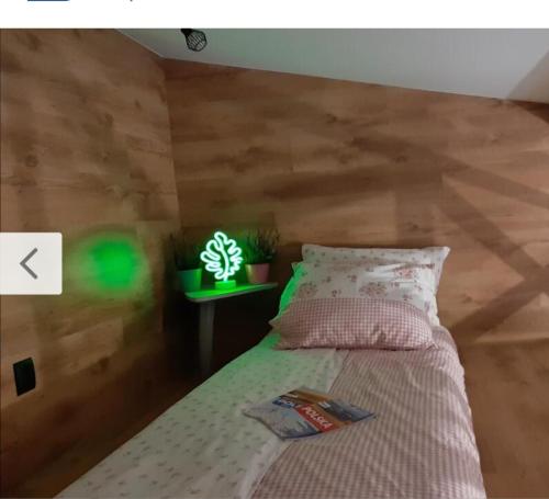 海乌姆诺Pokoj z antresolą的一间卧室配有一张绿灯床