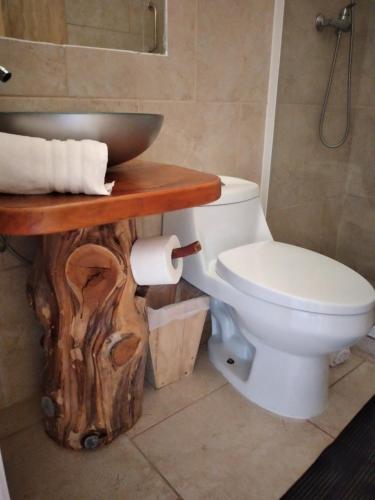 梅利佩乌科Hotel Patagonia Truful y lodge Patagonia truful的一间带卫生间的浴室和一张带水槽的木桌