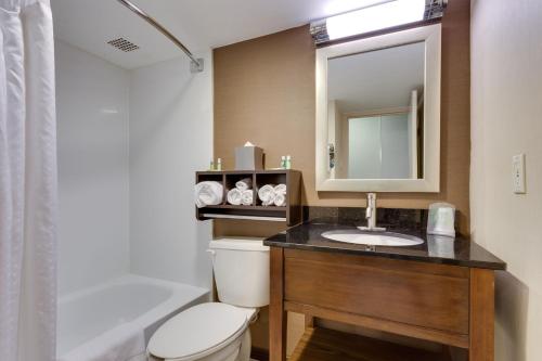 斯普林菲尔德Holiday Inn Express Washington DC SW - Springfield, an IHG Hotel的一间带卫生间、水槽和镜子的浴室