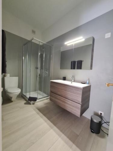 洛迦诺拉维拉旅馆的一间带水槽、淋浴和卫生间的浴室