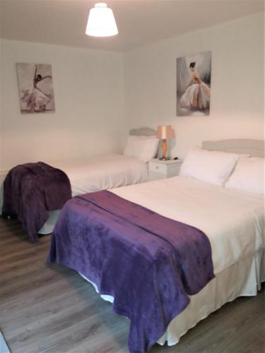 拉斯德拉姆Lettermore Apartment 2的一间卧室配有两张紫色床单