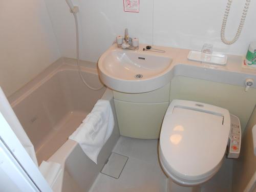 熊谷熊谷站前R&B酒店的一间带卫生间和水槽的浴室