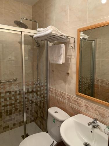 AlcorochesHotel Herranz的浴室配有卫生间、盥洗盆和淋浴。