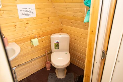 新阿丰Ретритный центр "Дом Души"的一间带卫生间和水槽的小浴室