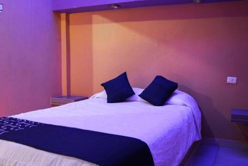 蒙特雷Hotel Oasis的一间卧室配有一张带两个蓝色枕头的床