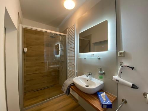 布劳恩拉格Hotel Wappenhof的一间带水槽和淋浴的浴室