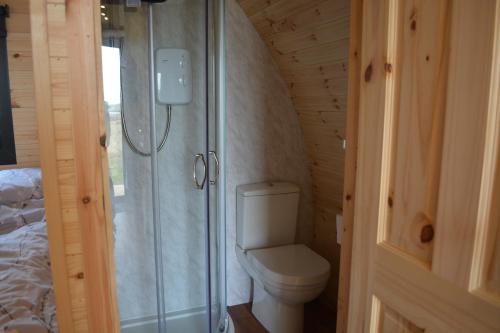 HarloshLochview Pods的一间带卫生间和淋浴的小浴室