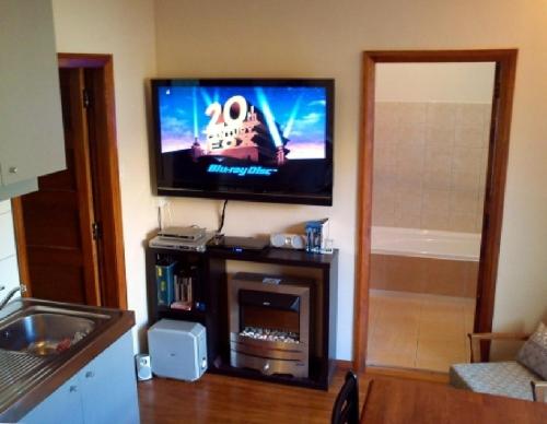 TuaiThe Tuai Suite Waikaremoana的客厅的墙上配有平面电视。