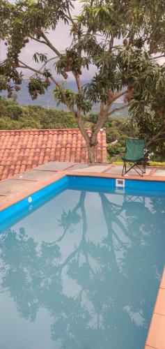 阿纳波伊马ECOCABAÑAS SAN PEDRO的一个带椅子和树的游泳池