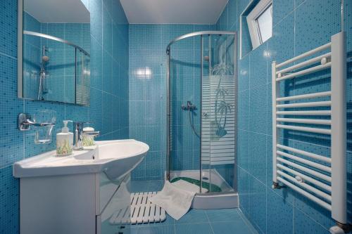 Vila Alba Brasov的一间浴室