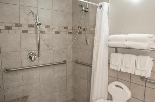 法戈法戈假日酒店 的带淋浴、卫生间和毛巾的浴室