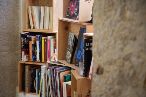 里昂Hotelo Lyon Charité的书架上堆满了书