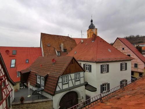 索梅劳森金牛葡萄园宾馆的享有红色屋顶的建筑群的景色