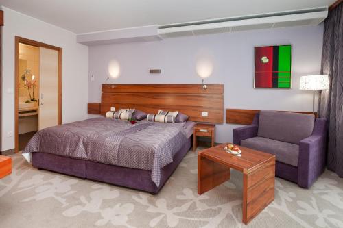 兹雷切兹瑞克温泉 - 艾特酒店的一间卧室配有一张床、一张沙发和一把椅子