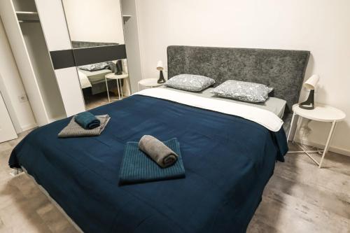 诺维萨德Chill Out Apartment的一间卧室配有一张大床,提供蓝色的床单和枕头