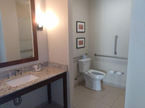 米德兰Comfort Inn Midland South I-20的一间带卫生间、水槽和镜子的浴室
