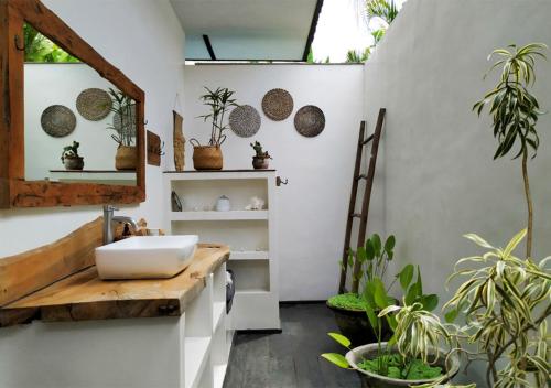 克罗柏坎Villa Ubuntu by Optimum Bali Villas的浴室设有水槽、镜子和一些植物